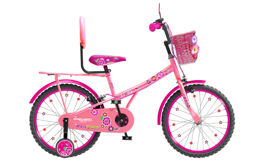 bsa bicycle for girl